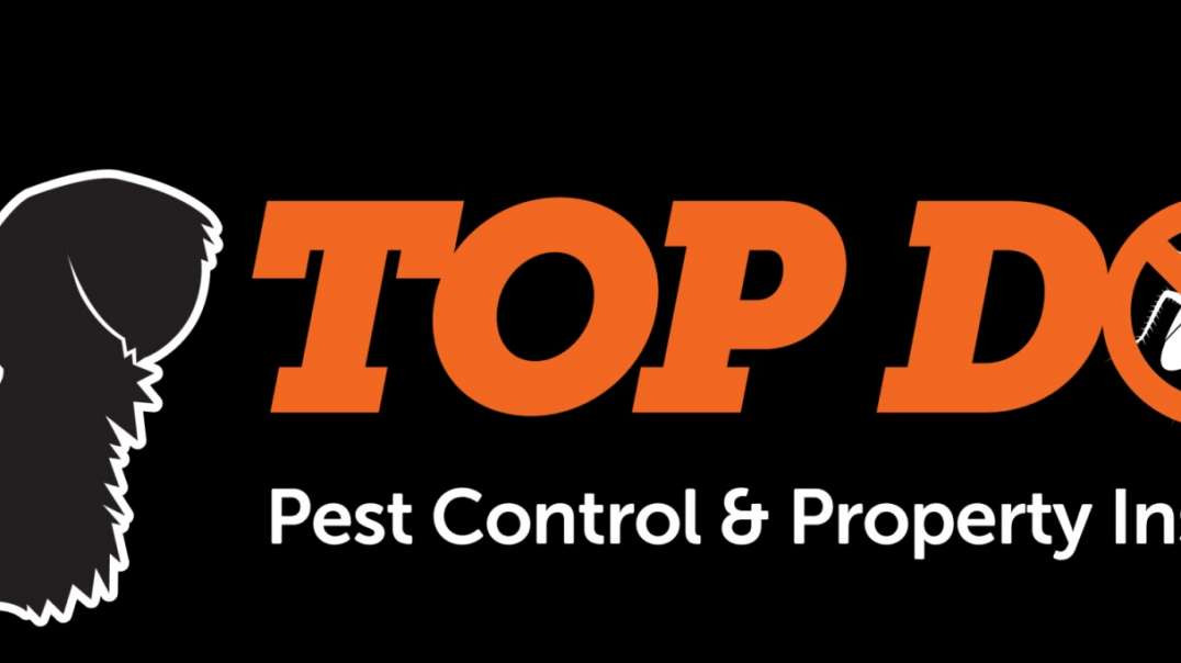 Mosquito Pest Control Gold Coast – Protect Your Home from Mosquitoes