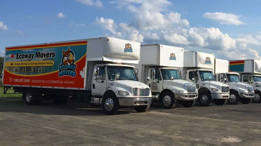 Ecoway Movers : Affordable Moving Company in Newmarket You Can Actually Trust