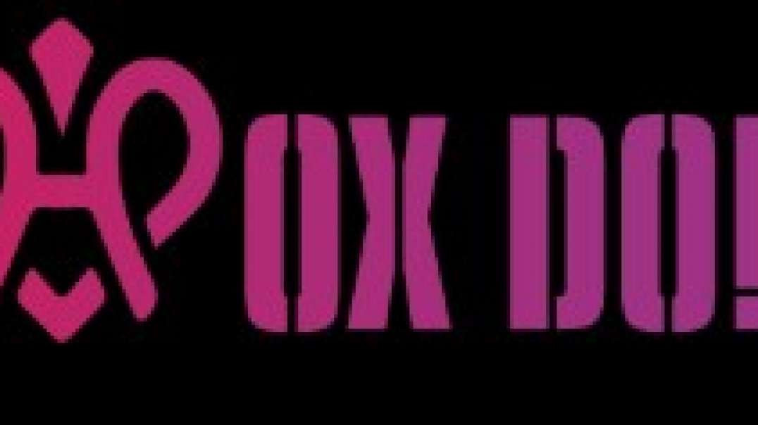 Shop Anime Dolls USA | Hoxdoll.com