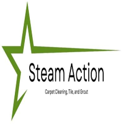 Steam Action Carpet Cleaning