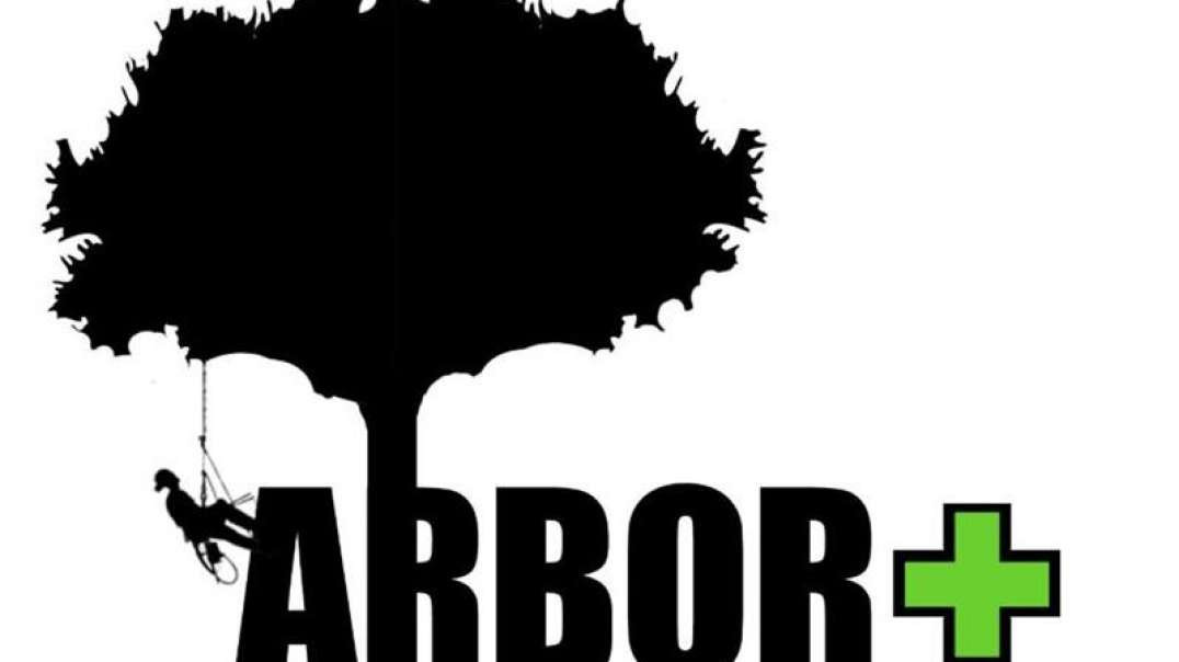 Arbor Plus - Tree Trimming Service in Salt Lake City, UT