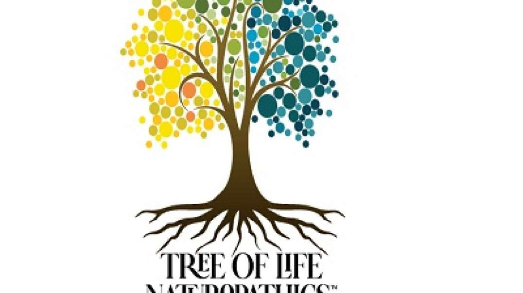 Tree Of Life Naturopathics - Best Functional Medicine Telehealth