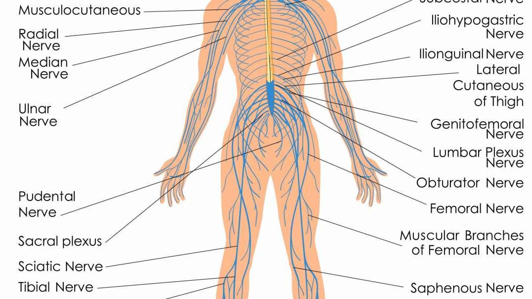 Ultimate Diagnostic Center : #1 EMG Testing in Homestead, FL | (305) 393–8102