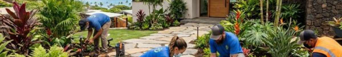 Oceanic Landscaping 